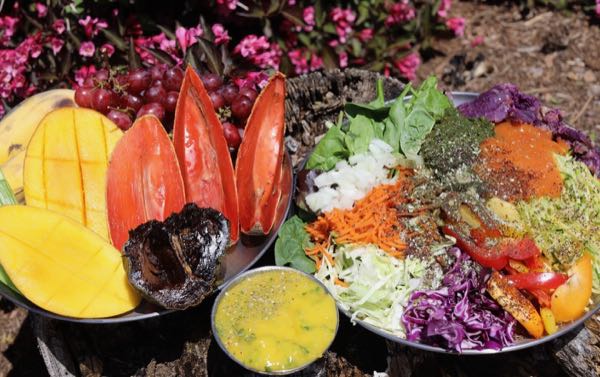 Vegan Wellness Retreats moment 51