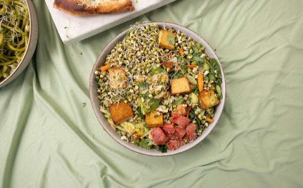 Vegan Wellness Retreats moment 57